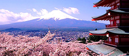 Trabalhar no Japão